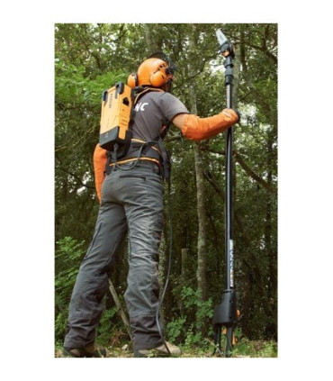 Motosierra Selion telescópica evo T220/300 Pellec