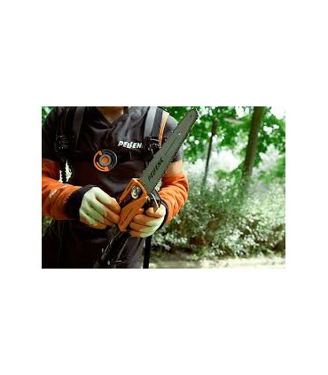 Motosierra Selion telescópica evo T220/300 Pellec