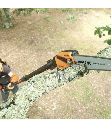 Motosierra Selion telescópica evo T220/300 Pellec