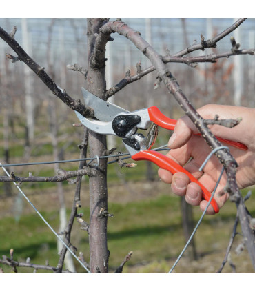 Tijera Felco 2 - Ribot24FPM