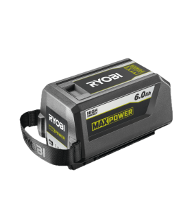 Batería 36V ONE+™ 6.0Ah - Ribot24fpm