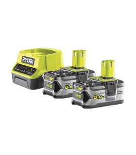 Pack 2 Baterías 5.0 Ah + Cargador 2.0 A - Ribot24fpm