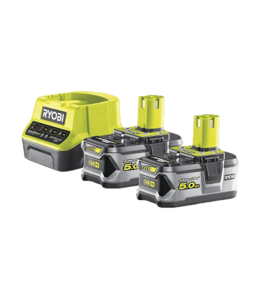 Pack 2 Baterías 5.0 Ah + Cargador 2.0 A - Ribot24fpm