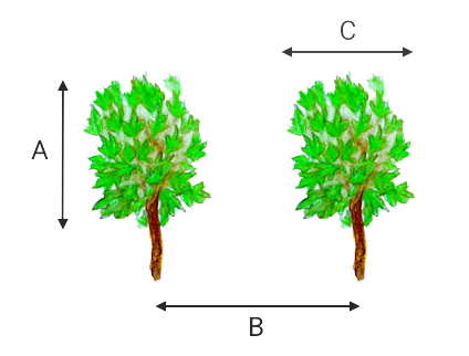 Croquis de Cultivo (A: Altura de la Vegetación, B: Distancia entre Hileras, C: Anchura de Vegetación)