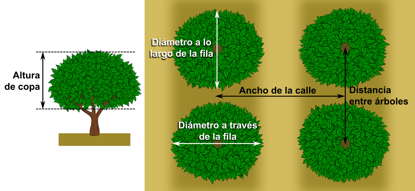 Imagen de ayuda